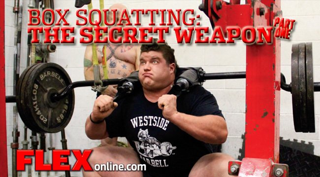 Building Explosive Strength With Box Squats
