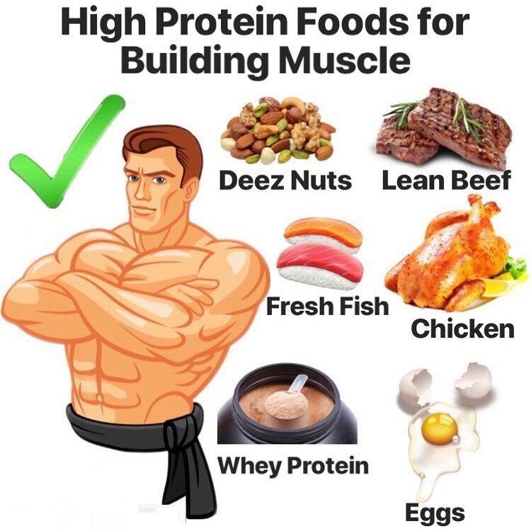 protein to build muscle